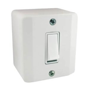 Interruptor C/ 1 Tecla Paralela E Placa Linha R Branca - Radial