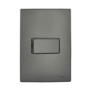 Interruptor C/ 1 Tecla Paralela E Placa Ouro Grafite - Radial