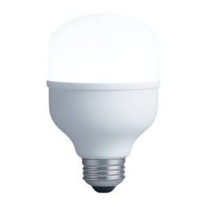 Lâmpada LED Bulbo 30W Branca Fria 6500K Vany